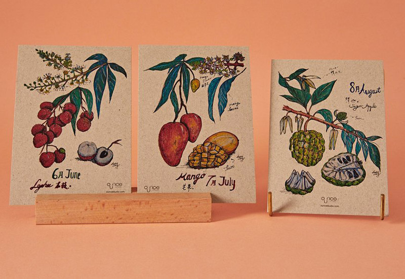 台灣水果花月份卡13入組 水果花插畫